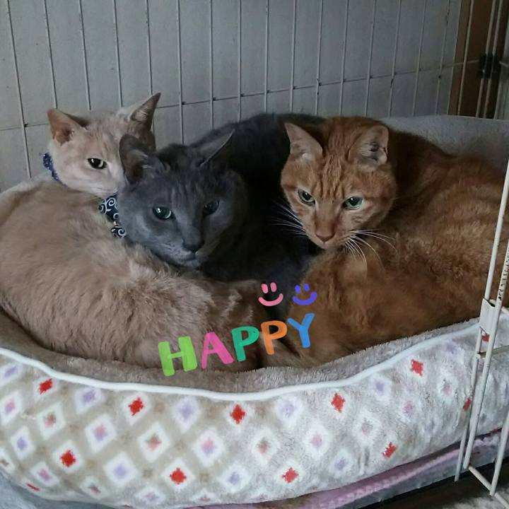 93fb34c9 f4c4 4261 832e 9e6cd343a409 1582328377450