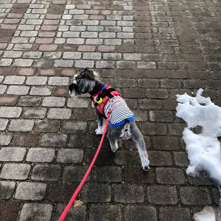 93fb7061 a129 41e1 adec 238ae5c27989 1516412863878