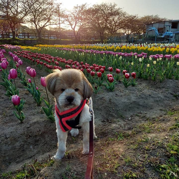 93fb95d1 2881 41f5 a933 4c70e74ab70b 1649509472975