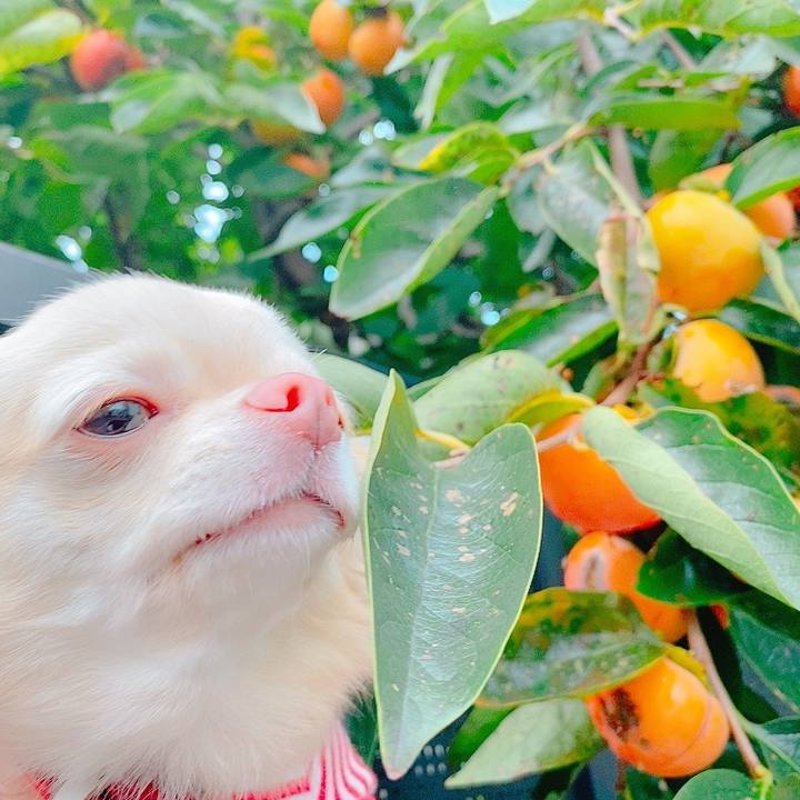 93fbafb0 03c8 4e6a b175 8a1bfd9c9cf2 1631694692358