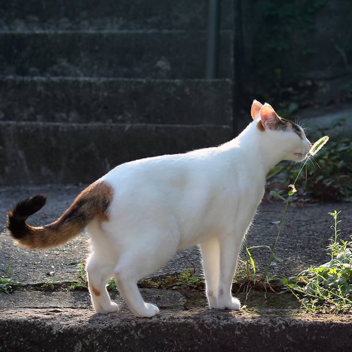 93fbb753 84c9 452e 981f b7469b0b5815 1600988422791