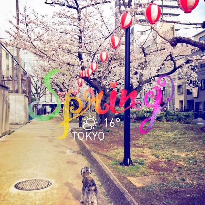 93fbce40 8279 4821 aac7 633680b128d6 1521876573138