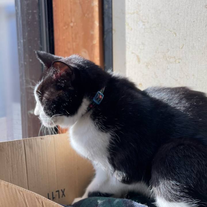 93fbf4bb 8dad 4468 9c84 92d51b1be130 1639626414463