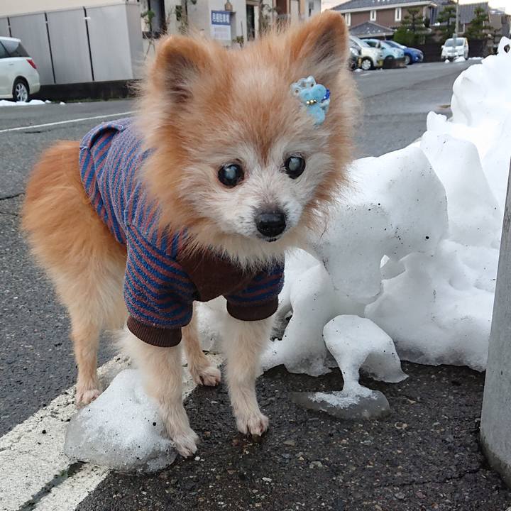 93fc0593 0170 4c13 bc5c 246ffabe0418 1707380470382