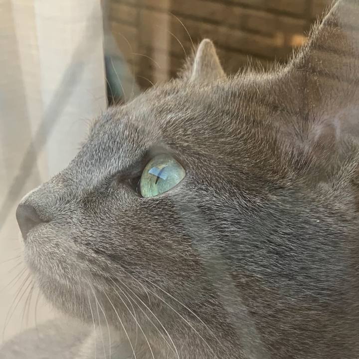 93fc1373 53ac 44a6 a580 a20817debee4 1581392725196