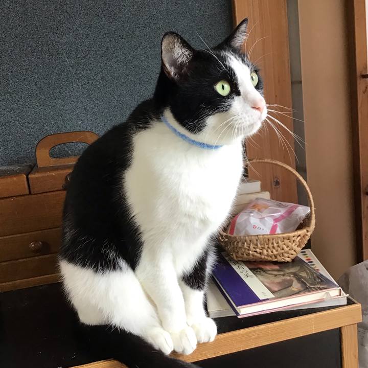 93fc3a23 31ee 4aa9 9bc9 f15e72015574 1730518995313