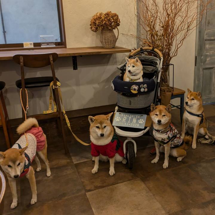 93fc87bf 8b16 4554 b679 3c0617a7db00 1727445497039