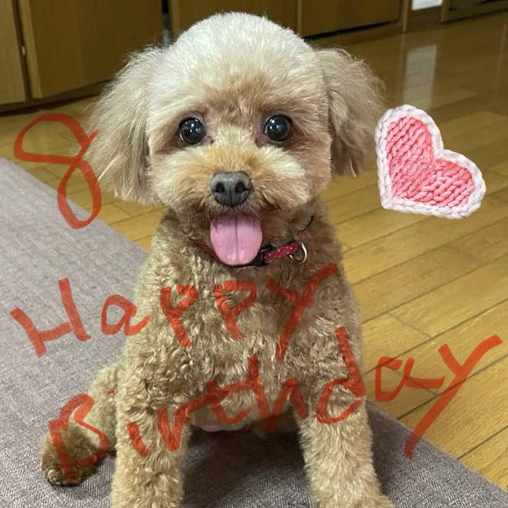 93fcab7f 0ef9 4fdb b914 88af68ed2eff 1735441382334