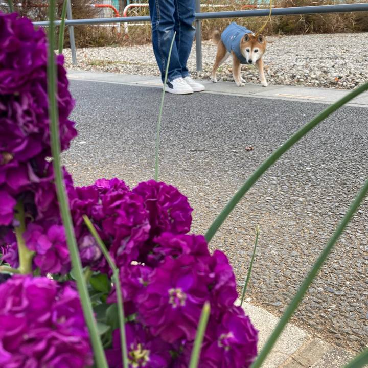 93fcb960 4be0 46f5 aa82 8acb002b7f0c 1766824088163