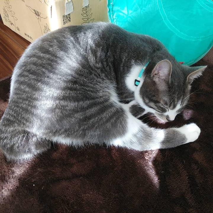 93fcc613 2b2d 42ae 96e6 8e4823936e65 1579573602606