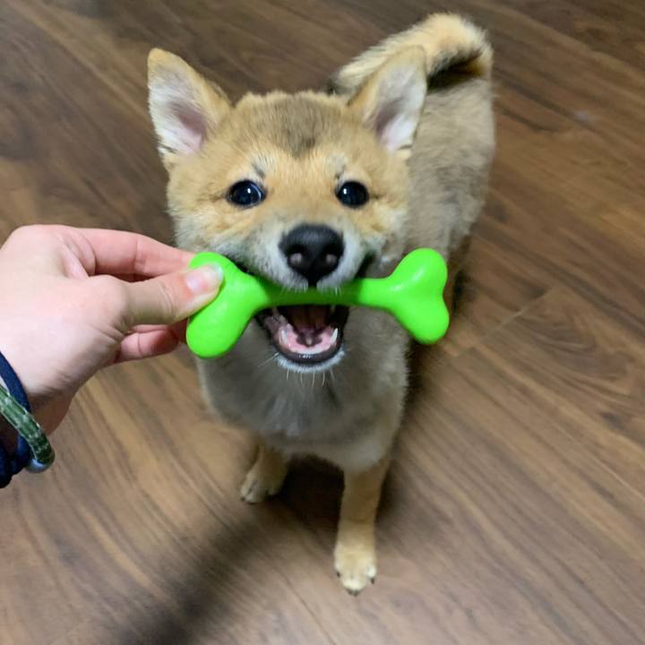 93fcf088 9a3f 4c16 a98d 0e9686154c94 1620041791501