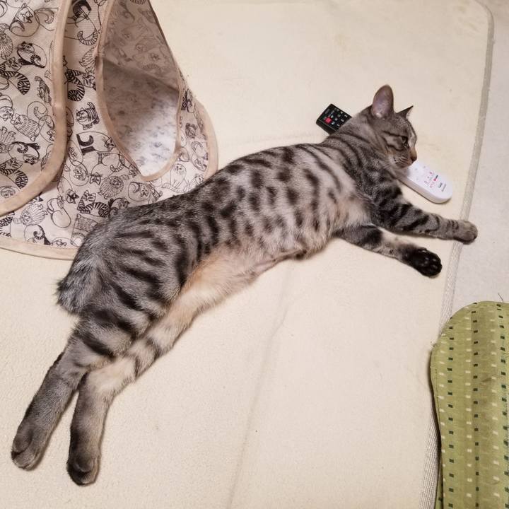 93fd288b 244c 42d0 bd42 400e48436b96 1678877175701