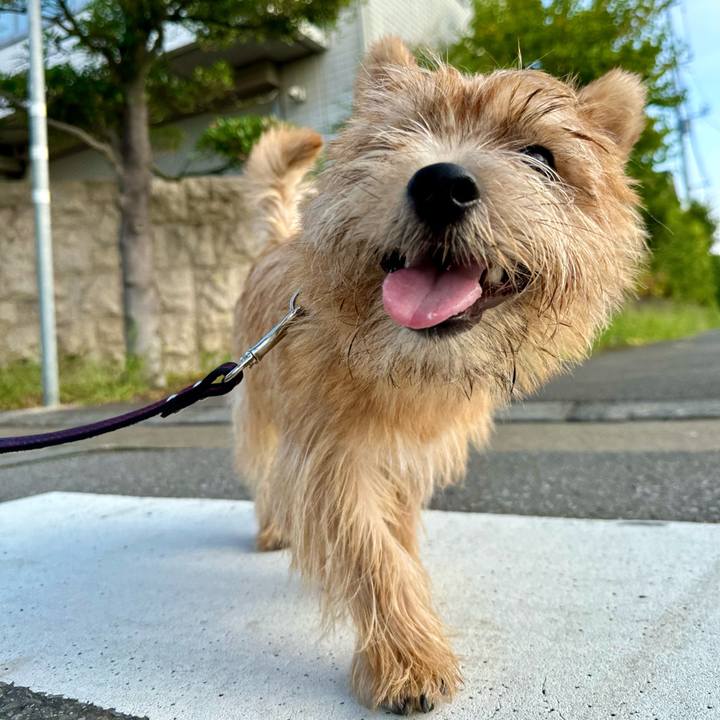 93fd5caf 4b53 4f13 bc00 82f9b629e679 1723699746173