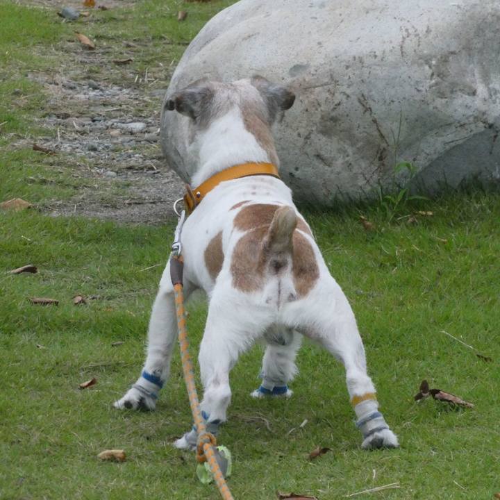 93fd9174 ed71 42d7 99fc fdabfb835009 1601805726639