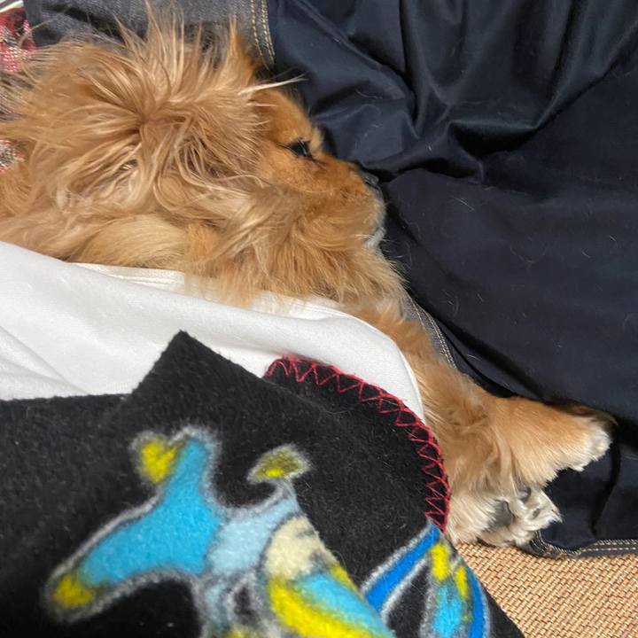 93fdc62f 4204 4462 b777 02c477c75fe7 1643405132182