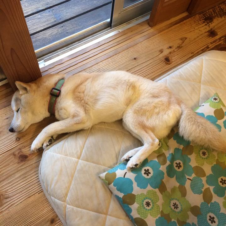 93fde928 c1a3 4c3c acf7 eaee3c2eb6d5 1563523794083