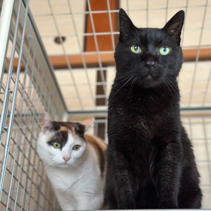 93fe05ce b6f0 4a10 a797 8f8686695588 1685151412986