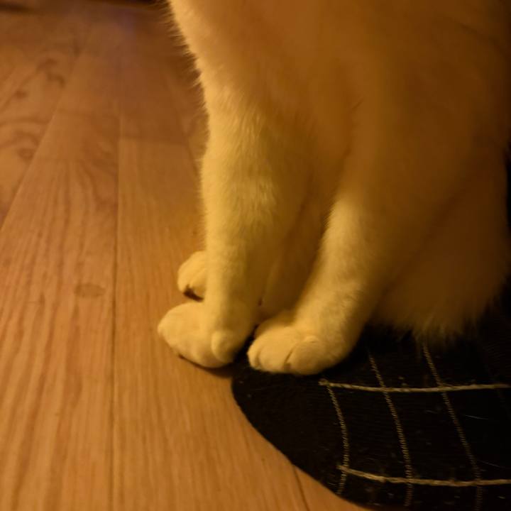 93fe16f1 9709 4e81 b087 8864031ef52c 1769594104502