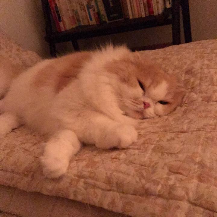 93fe25b3 b1e1 47d7 970f fd6f381b110e 1571825296860