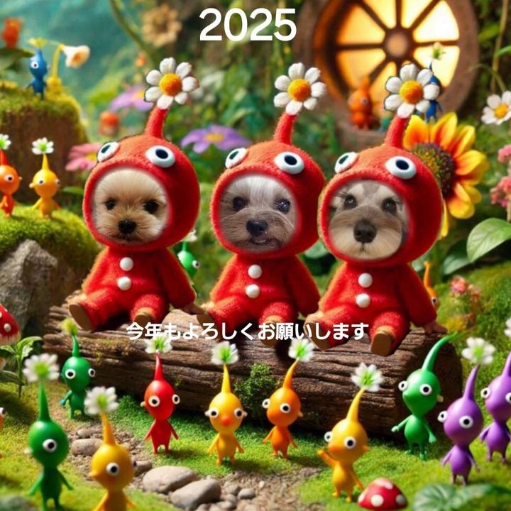 93feecbc fe78 489d 8ef2 a5b714c2c24b 1735705641677