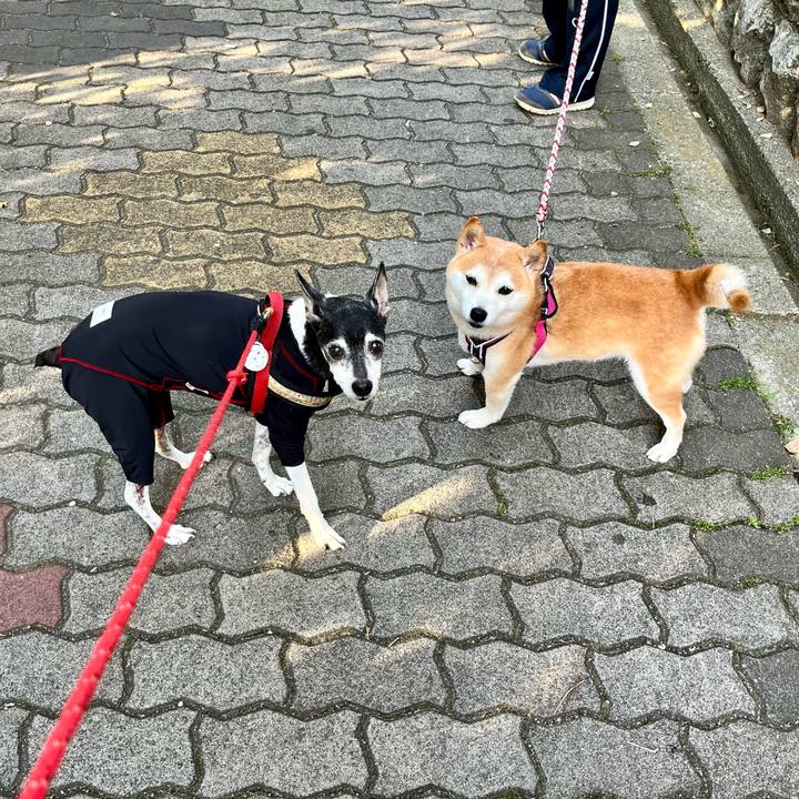 93fef05f 23d7 4b3e b264 f471567f0774 1654205584975