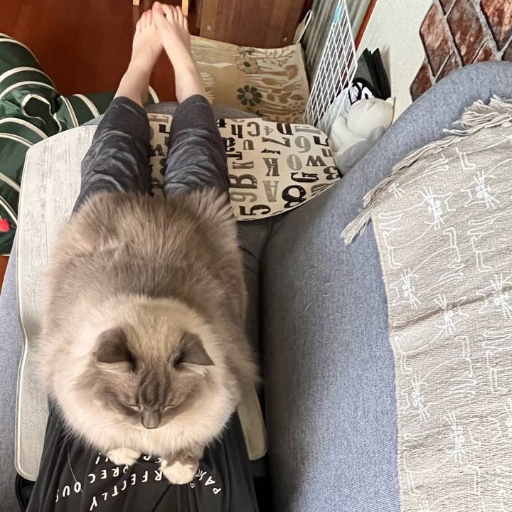 93ff0302 add7 4a15 86cc 352df58e71e6 1660312816125