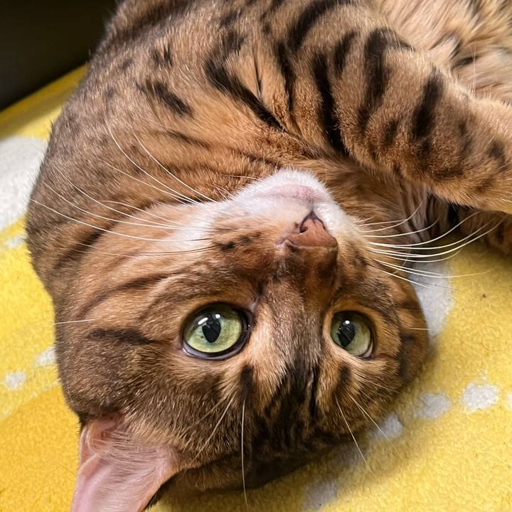 93ff24c3 1927 4071 b2be c70dc4d3bfc2 1702391801888