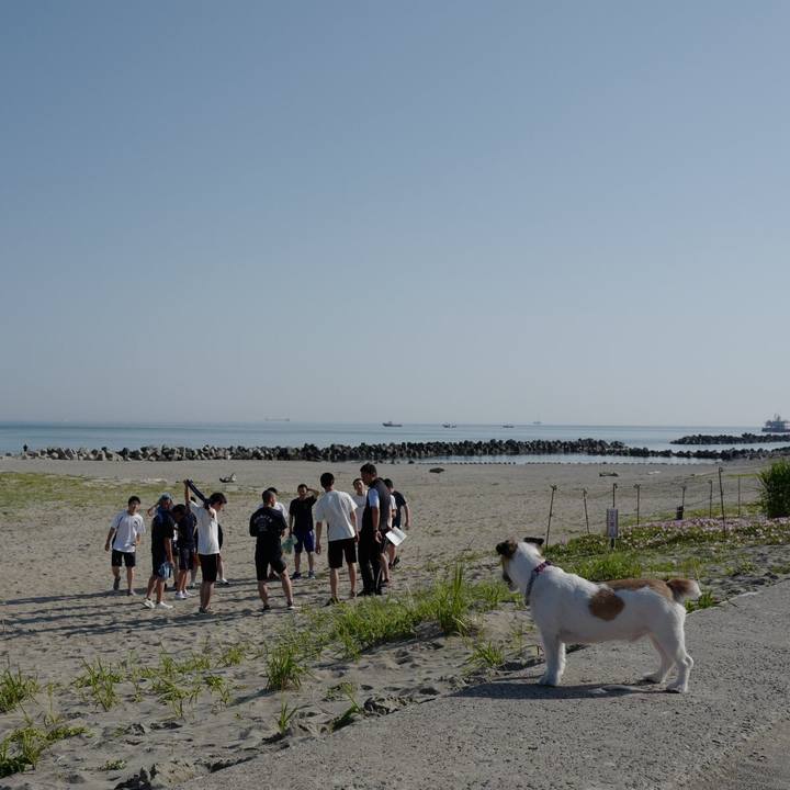 93ff3754 e9eb 4b15 b6af f2c9cb4f2ca8 1559539757617