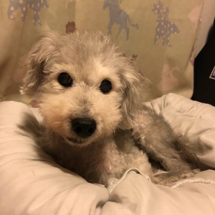 93ff3dec 9eda 4a4f beff 1828acc35ac7 1634220351831