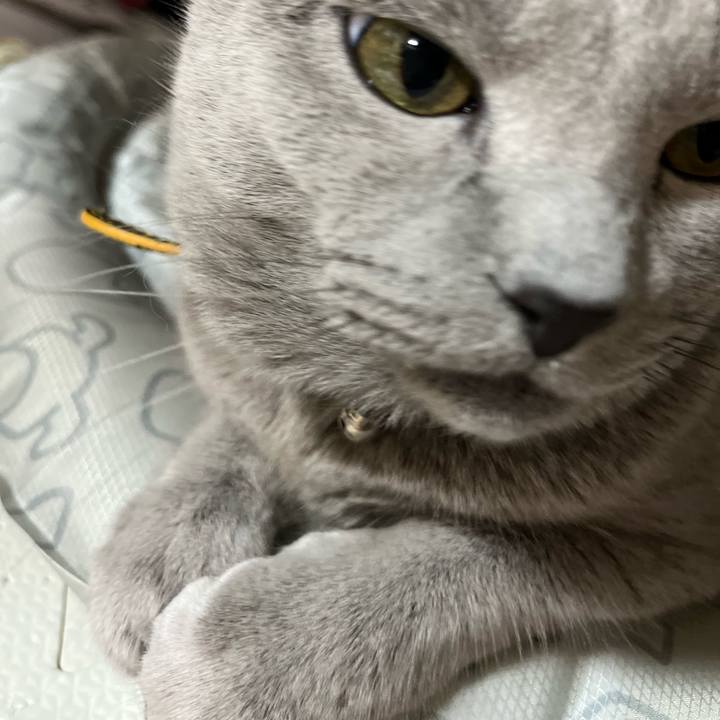 93ff4e7f 7aa0 41f4 9e8a e98fd504e8d6 1728051532624