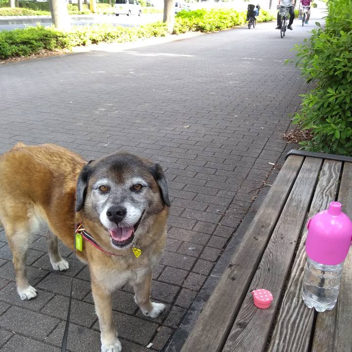 93ff5b5f a774 4198 b902 b7d2a4874a43 1560471991164