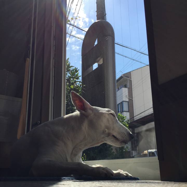 93ff6232 d034 4915 acdc dcfcdd284ca5 1538462497156