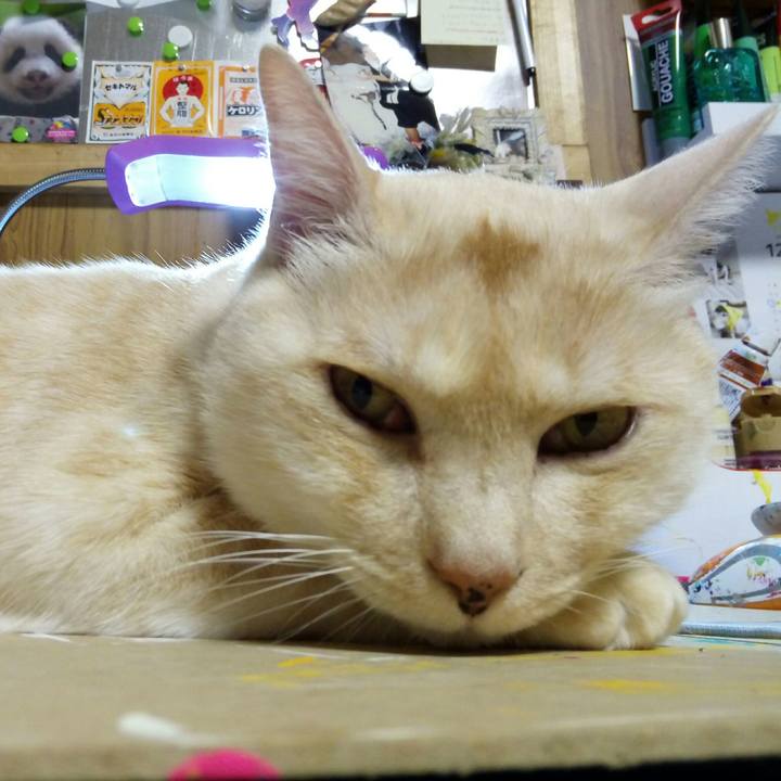 93ff7842 fb6e 46a4 ae6d 41fd93a3edb4 1512219557399