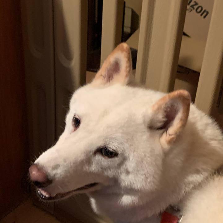 93ff84c8 965a 450c 832f 610de7828c8f 1598734587670