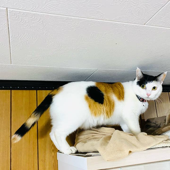 93ffaecb f07c 428a 8a98 bca27276914b 1673785246402