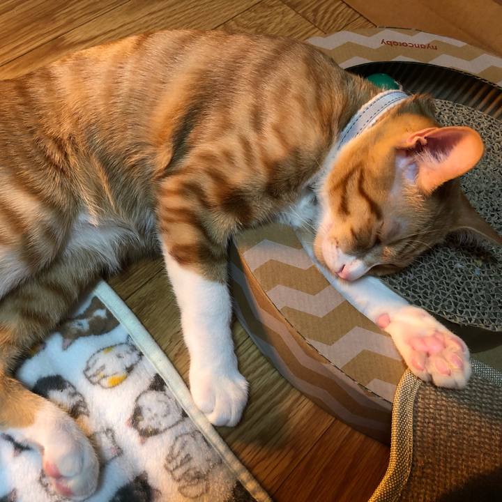 93ffdb1a c55b 4b45 8a20 8ac2d7dcdd83 1546084078957