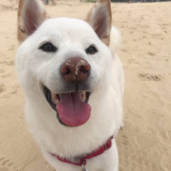 93ffe046 5713 4220 bbfa 1537585a4ca5 1568970913097