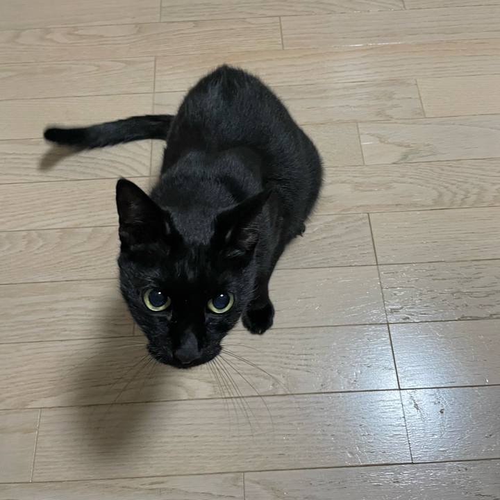 93fff92e 8dd3 4f57 bba5 0abee7a26ac9 1762087436757