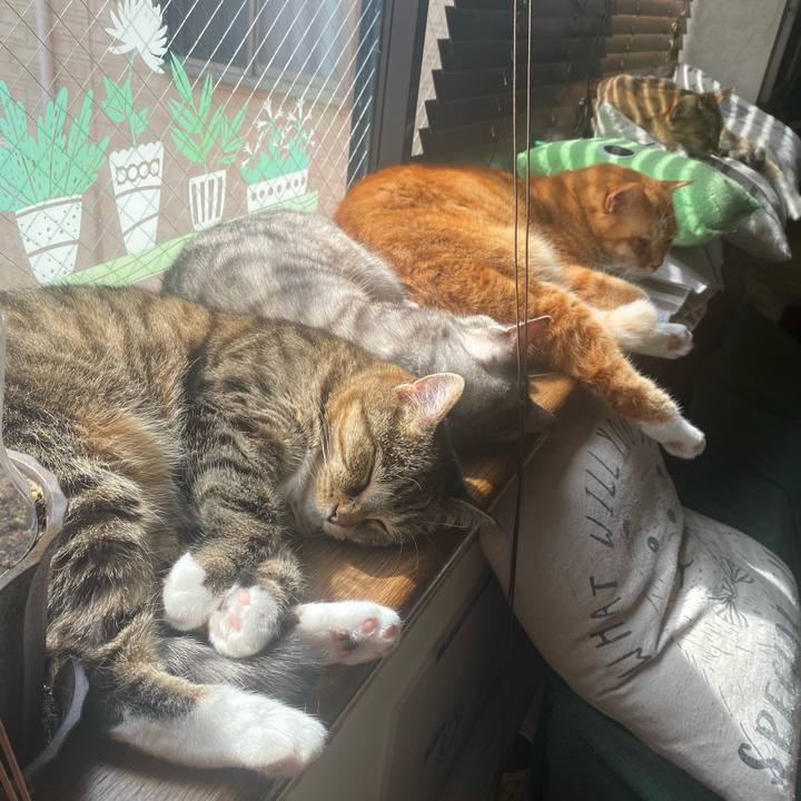 940023fa e644 42ca b4e3 04eecf1ebf02 1614998722805