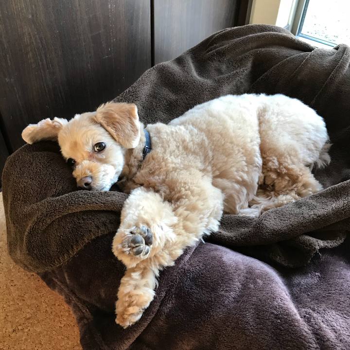 94002c76 2e10 41c5 9ec1 8a72c7a561b2 1511858152320