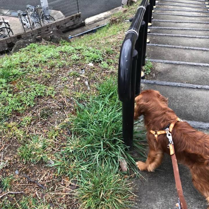 94009060 f80d 4632 9544 db1fd8fb9d62 1614989588733