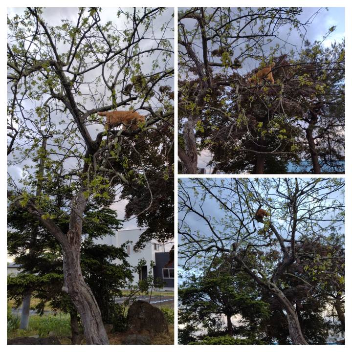 94009e40 58cf 4caf bb63 d1986e2a89f3 1715897405489