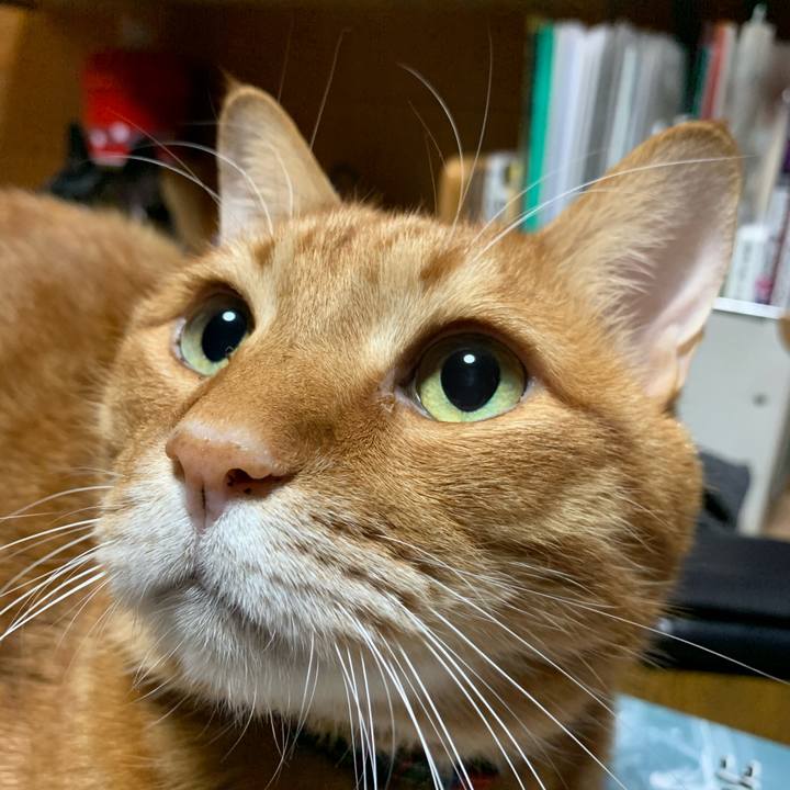 94009f3f 001d 4556 bc25 0828f63c441a 1579355276554