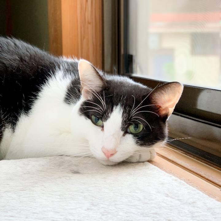 9400b88e a8fe 49d0 bd2a ad59e1191e15 1539223156835