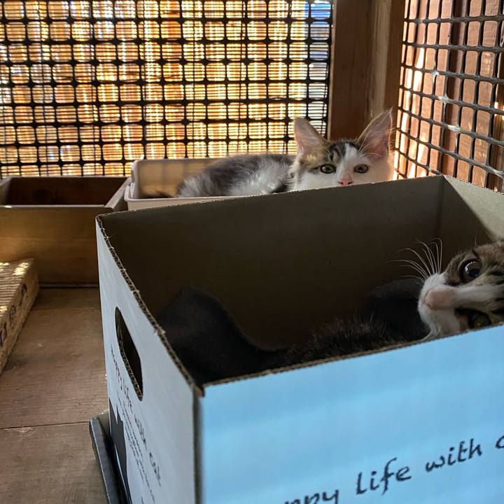 9400cffa 0093 4ec3 8daa 5fab1bf15af8 1633479944705