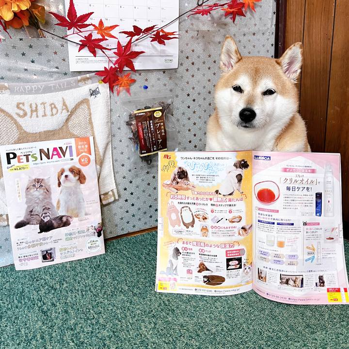 9400ec96 231c 400d 9c4f ebd0bbcd710c 1700634029190