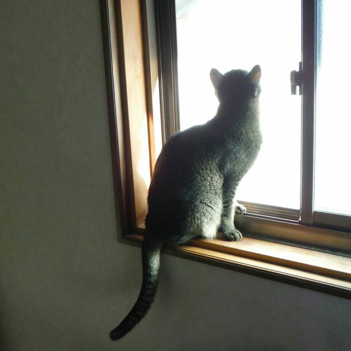 940100e3 1cab 46a7 87c2 a93eaf273f66 1516338320597