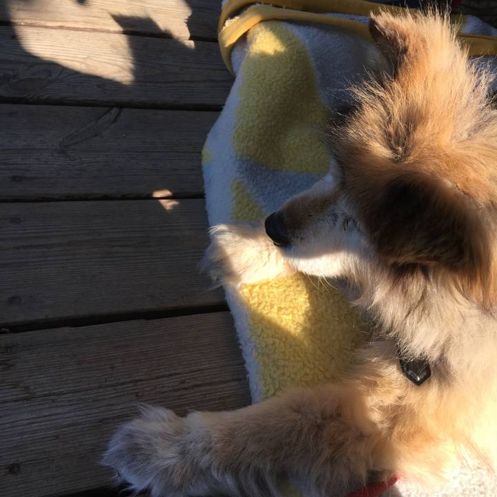 9401073a b3d8 480f bf91 d08d3c54c30a 1585676716218