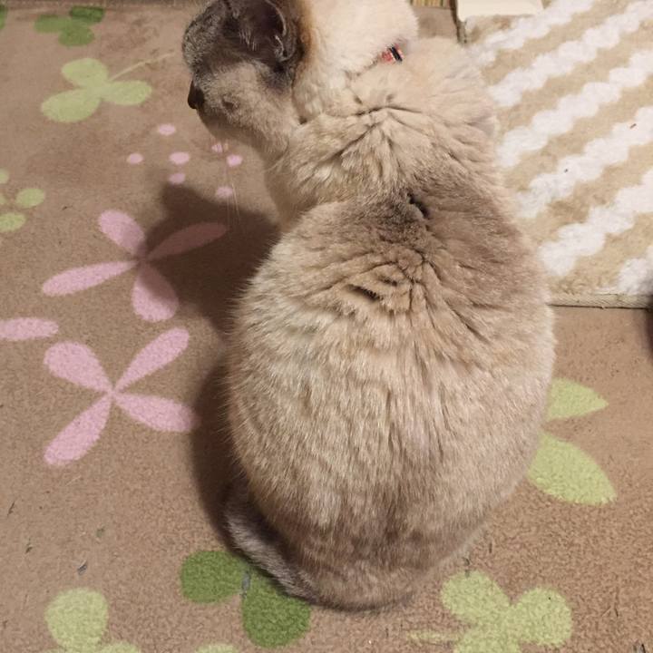 94011603 4a3f 4a80 ad45 54e6ac35e6cd 1576448744629