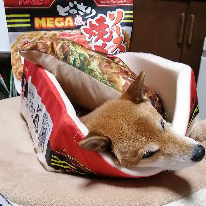 94013194 9fea 4887 a508 bcb02ff6da9a 1605702578664